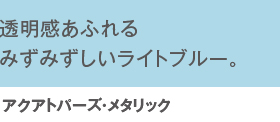ӂ݂݂Cgu[BANAgp[YE^bN