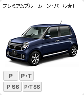 v~Au[[Ep[1iPremium / Premium Tourer/ Premium ʎdl SSpbP[W / Premium Tourer ʎdl SSpbP[Wj