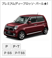 v~AfB[vb\Ep[1iPremium / Premium Tourer/ Premium ʎdl SSpbP[W / Premium Tourer ʎdl SSpbP[Wj