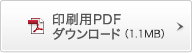 pPDF_E[hi1.1MBj
