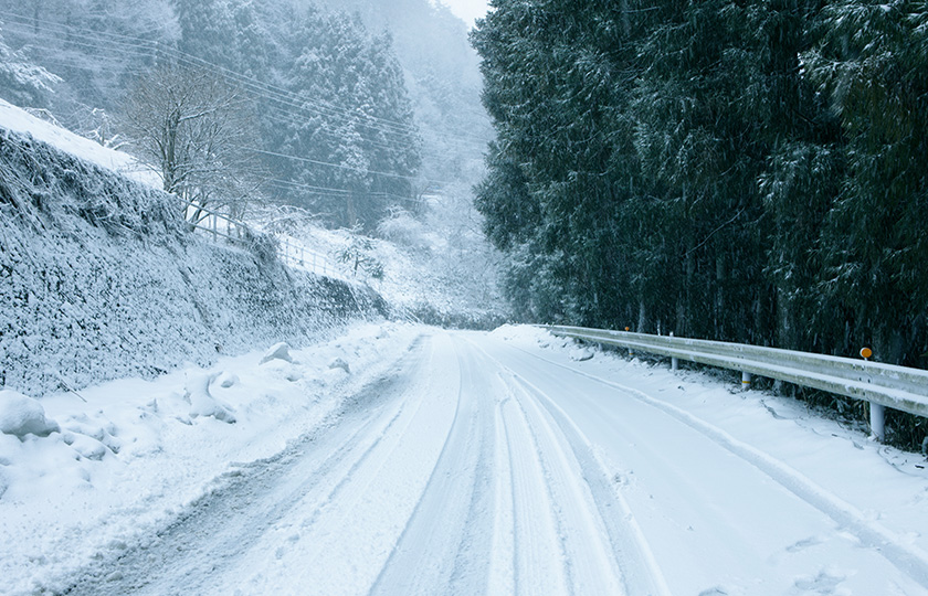 不安な道も、しっかり進める4WD車。