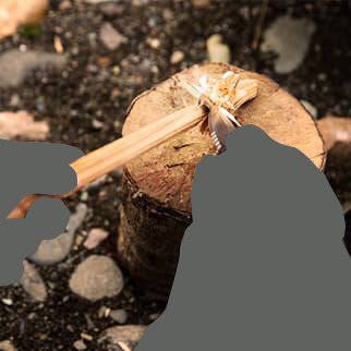 N-VAN FUN STYLE＋ NATURE イメージ写真