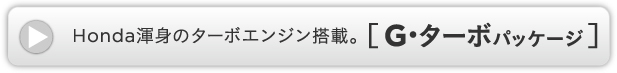 HondaӐg̃^[{GWځB [ GE^[{pbP[W ]