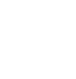 N-BOX Custom