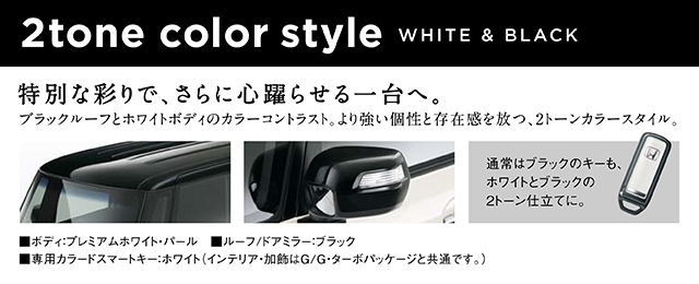 2tone color style