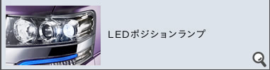 LED|WVv