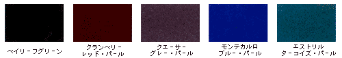 CUSTOM BODY COLOR