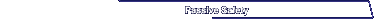 Passive Safety