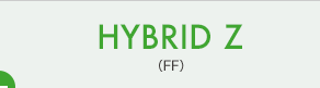 HYBRID ZiFFj