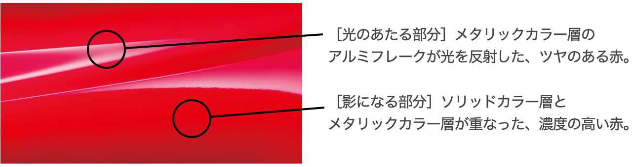 「光のあたる部分」で艶を、「影の部分」で燃えるような情熱を表現。