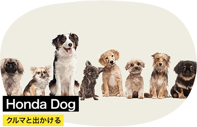 Honda Dog クルマと出かける