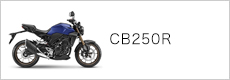 CB250R
