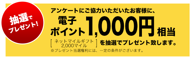 ネットマイルギフト
