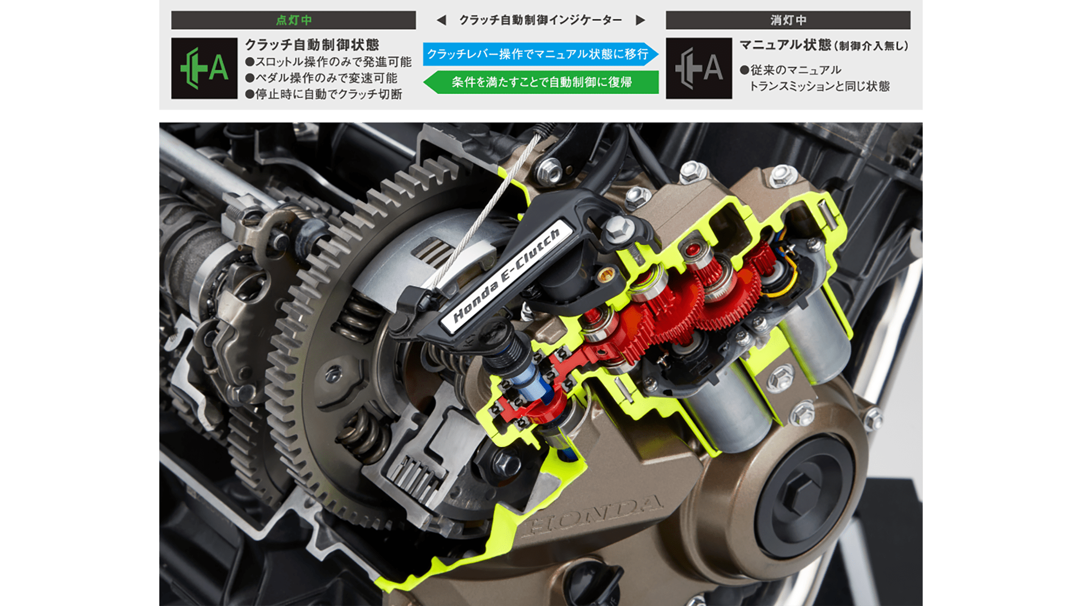 Honda E-Clutchカットモデル