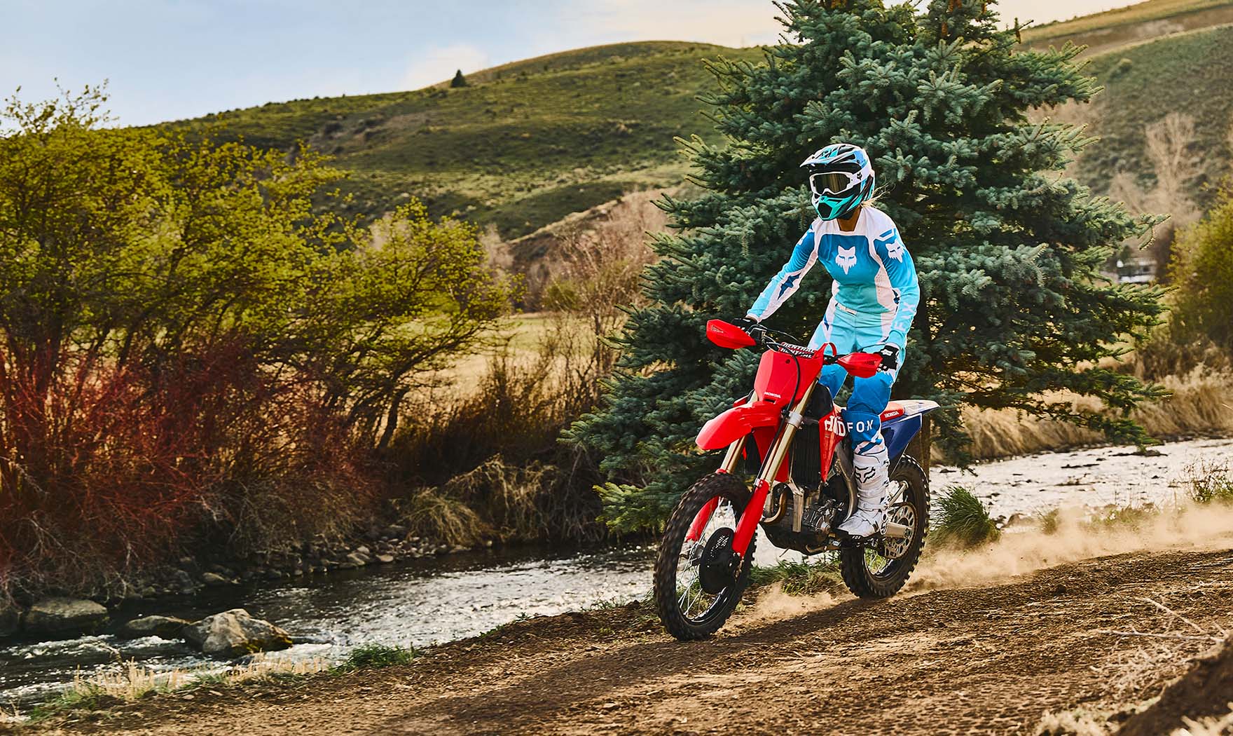 CRF250RX