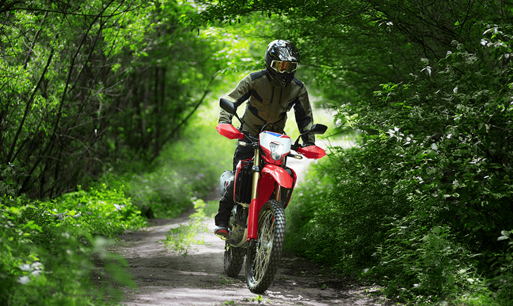 CRF250L <s>
