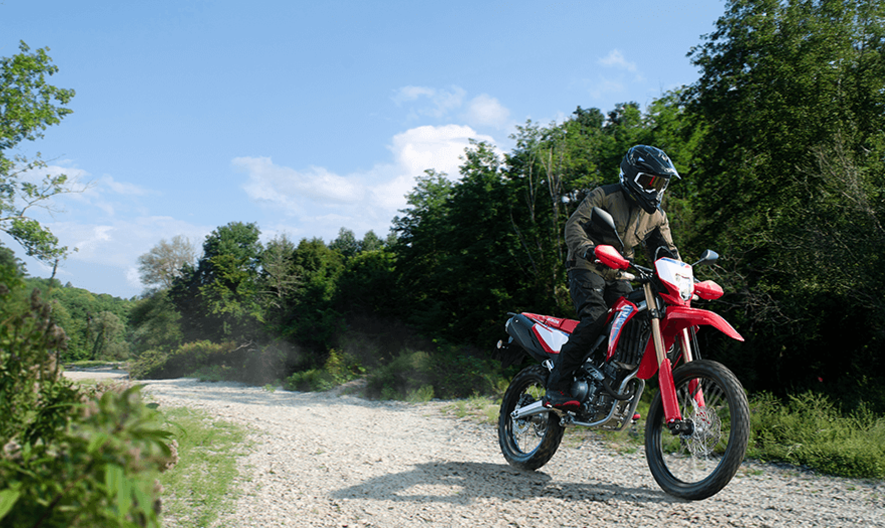 CRF250L <s>