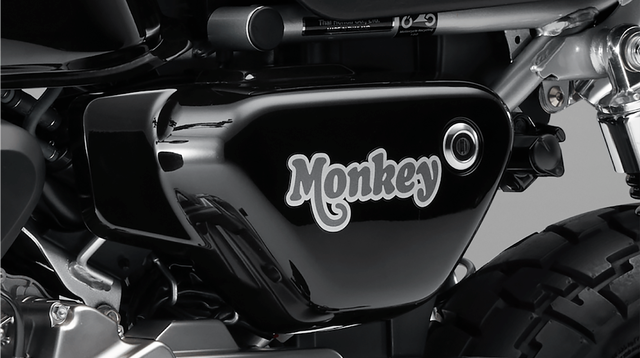 Monkey125