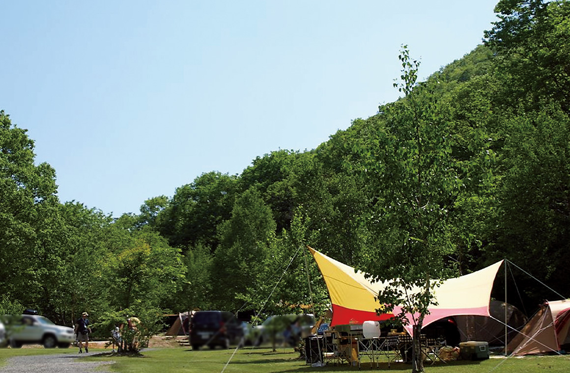 しらかばサイト開放感いっぱい