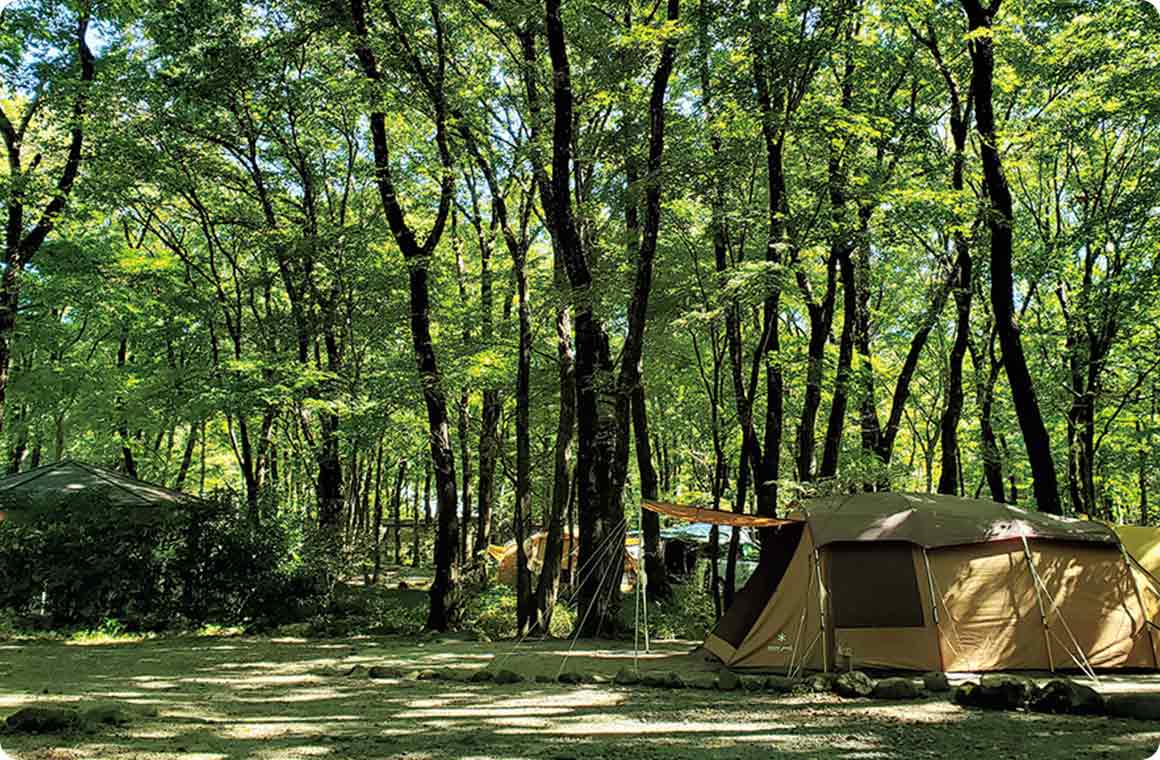 広葉樹に囲まれた林間サイト