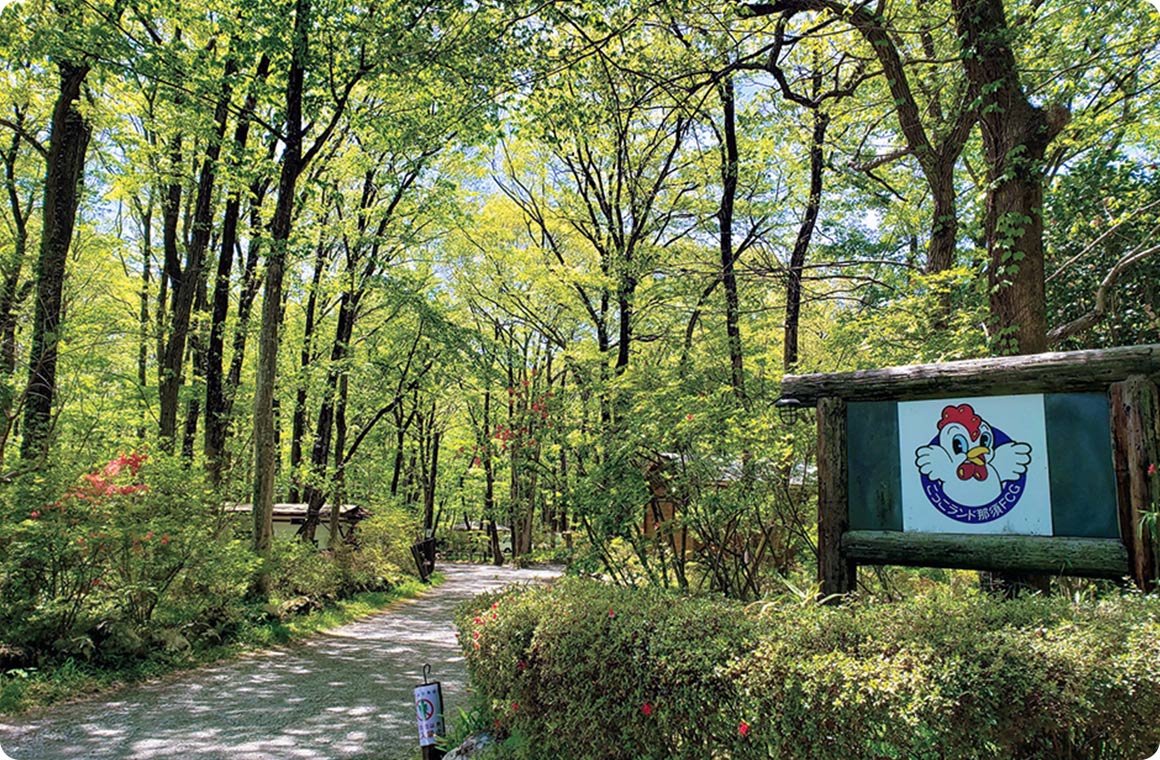 木漏れ日のさす、木々のトンネルがキャンパーを受け入れる入口