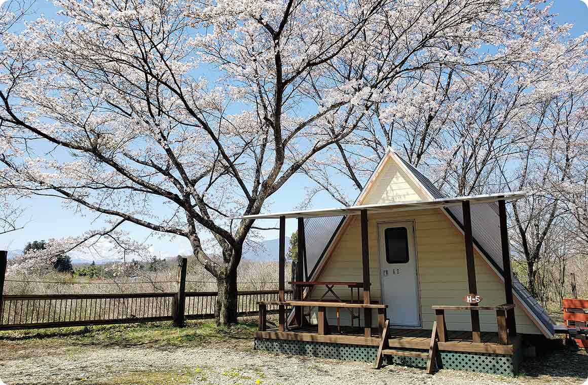 桜のさくA型トレーラーで快適に貼るキャンプを楽しめる