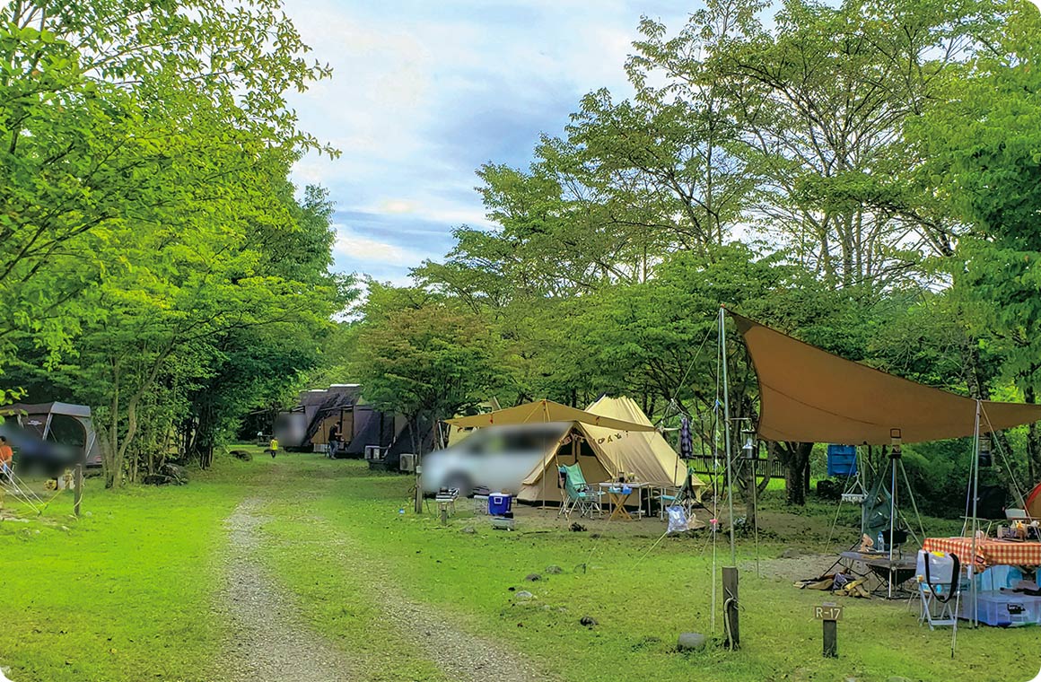 緑の屋根と緑のじゅうたんのような川沿いサイトはせせらぎが気持ちいい