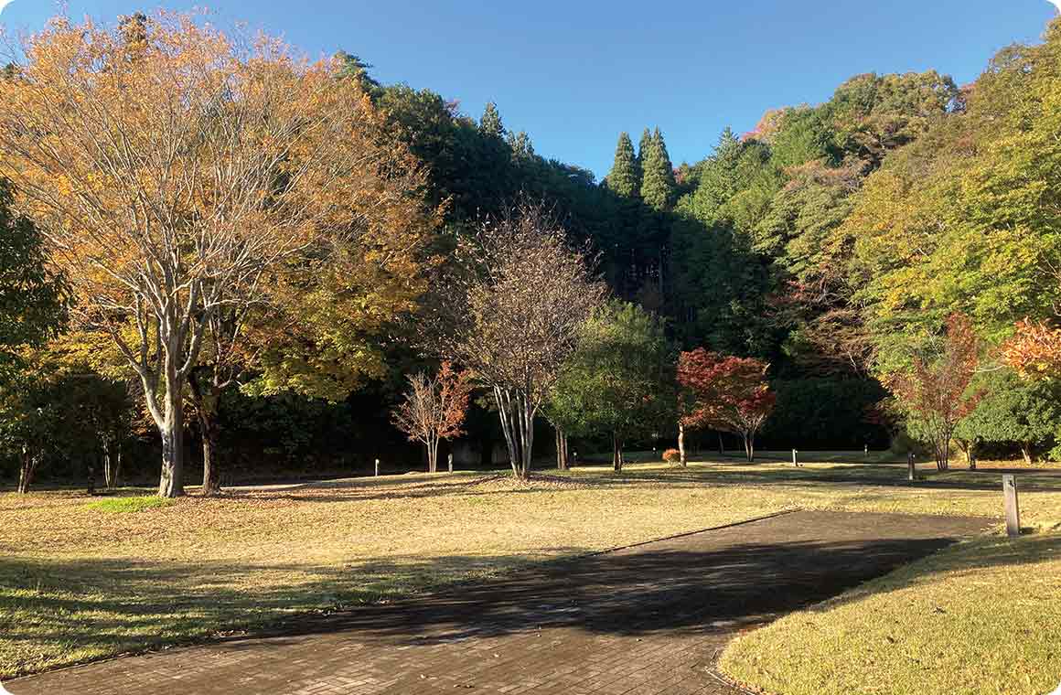 ゆったりできるキャンピングカーサイト