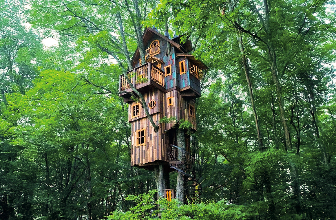 ひときわ背の高い姿から「ノッポ」と名付けられたツリーハウス