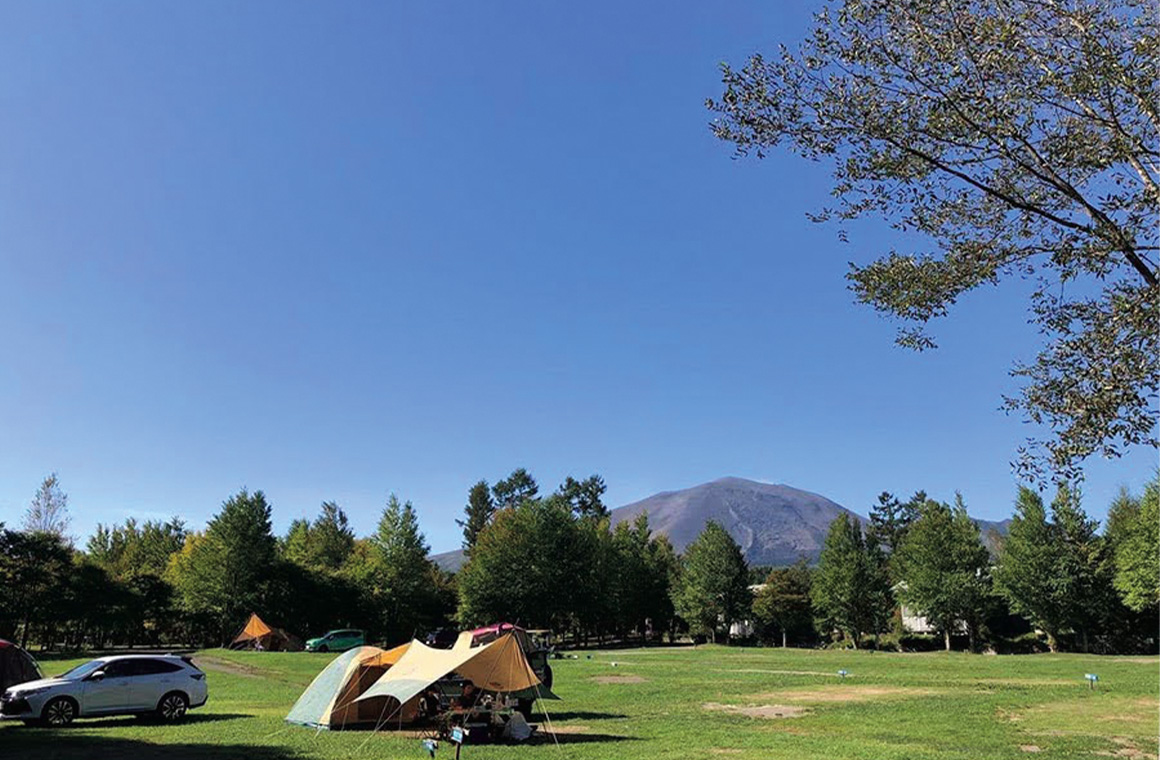 広々としたデビューサイト