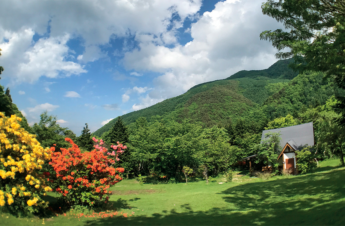 開放感あふれる草原サイトでは星空の眺めも良い