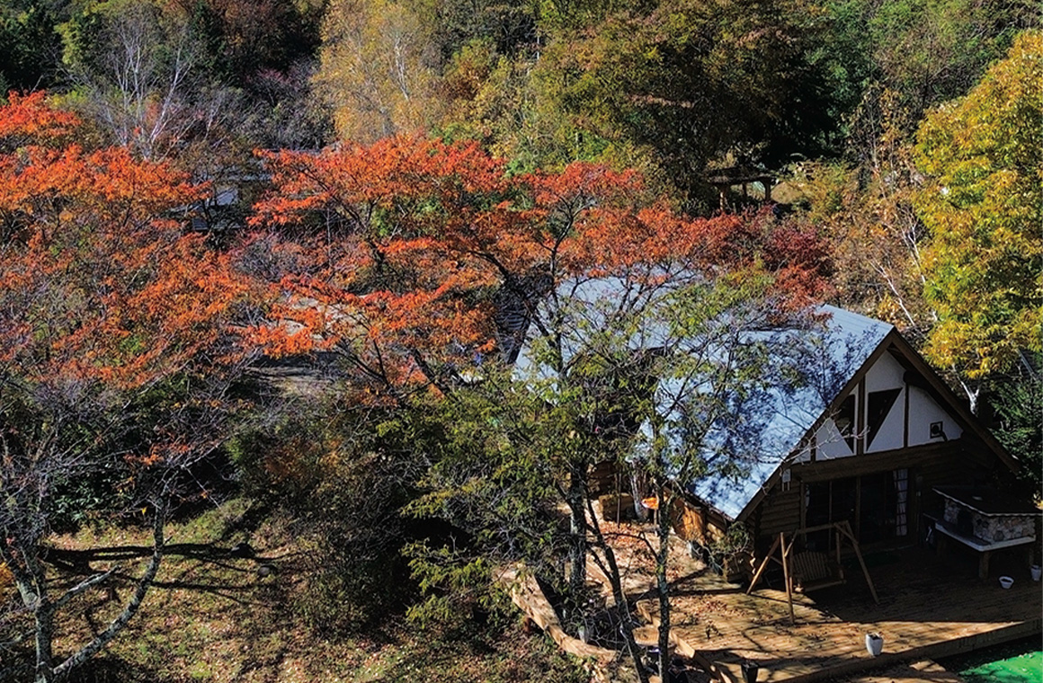 管理棟と山の紅葉