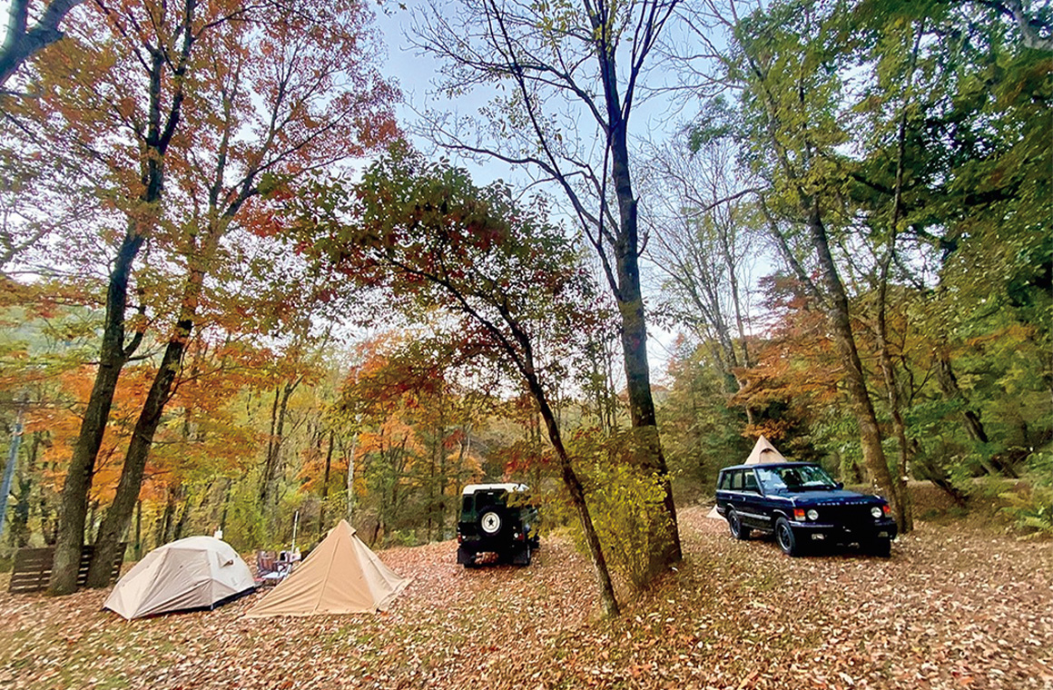 林間サイトは木々に囲まれて気持ちいい