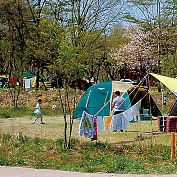 エコキャンプみちのく