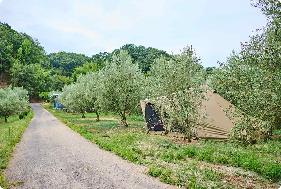 フラットサイト