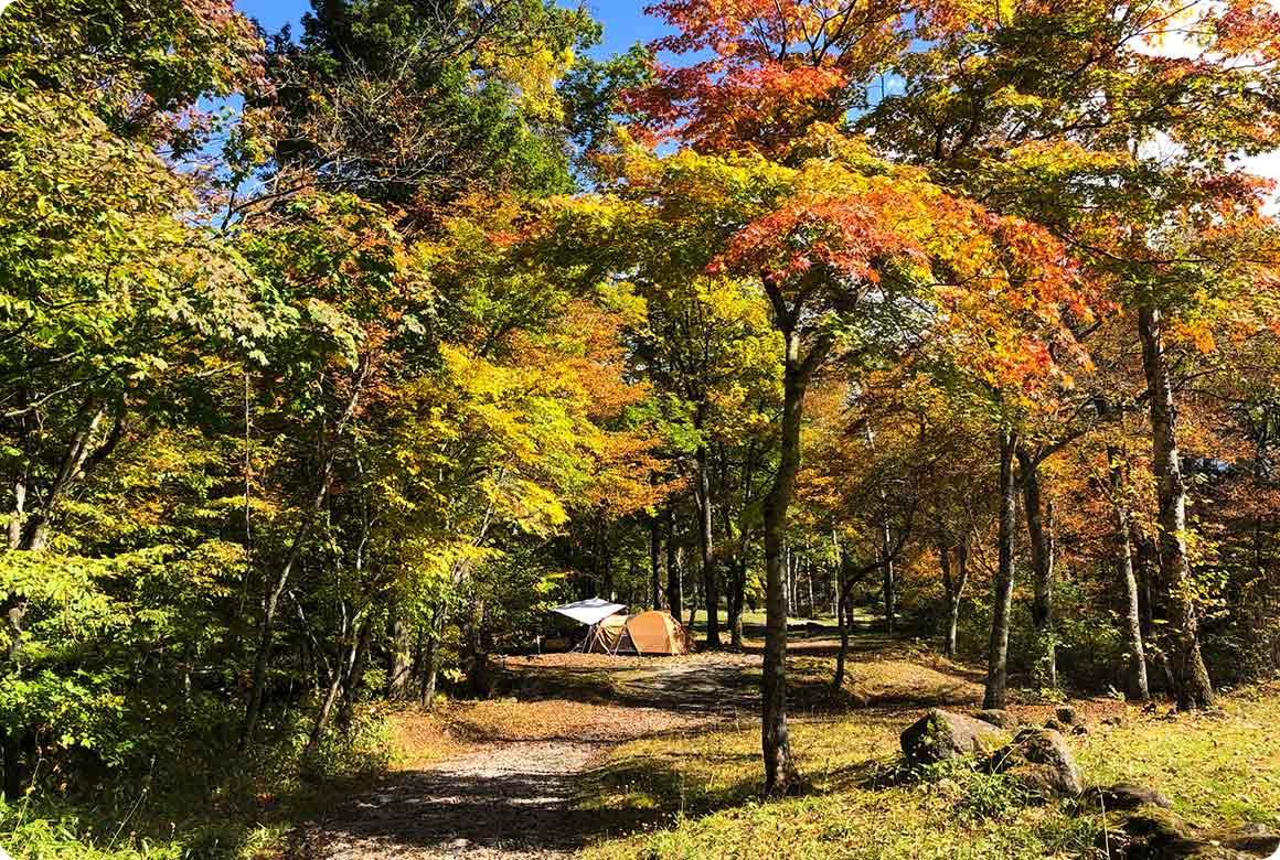 オートサイトの木陰エリアは木漏れ日が心地よい