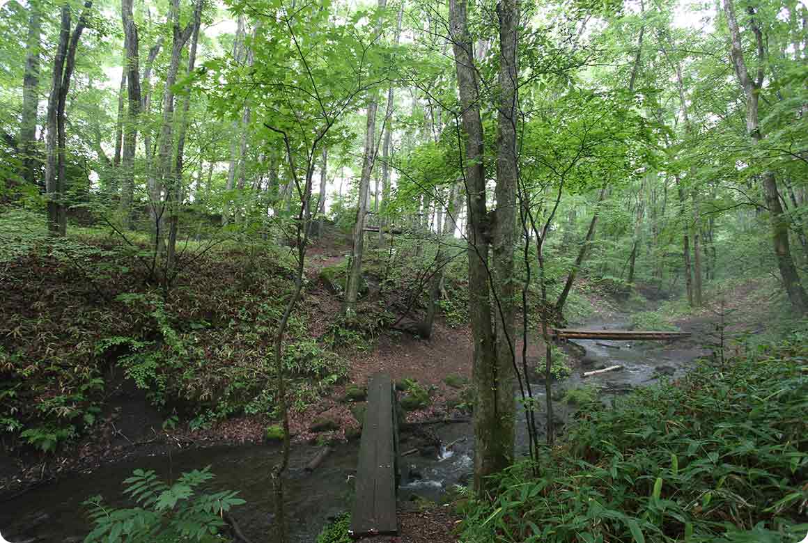 森に流れる心地よいせせらぎの地蔵川