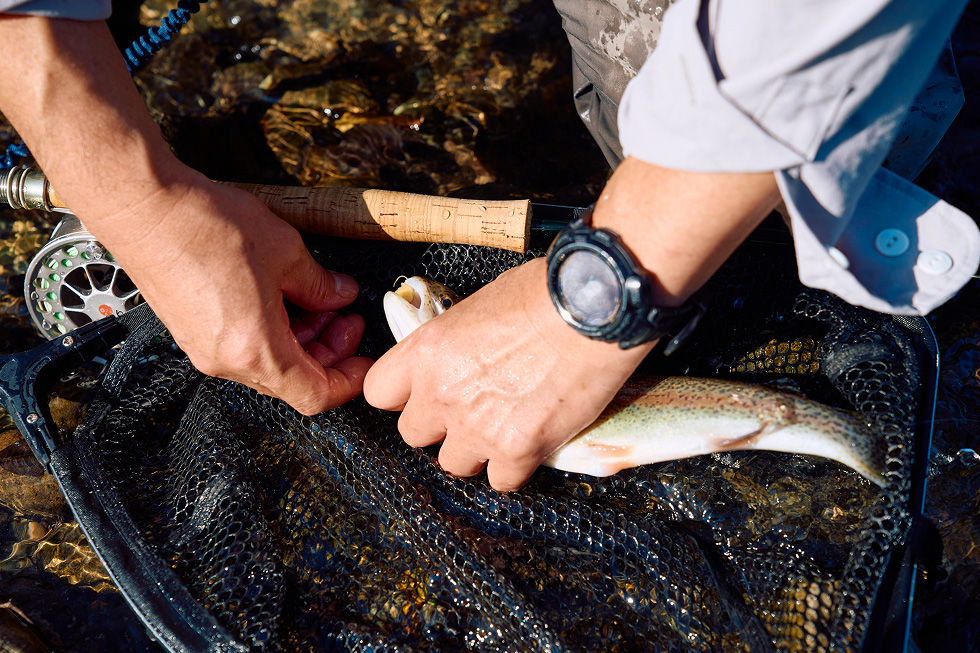 サイズは尺（30cm）まではいってないけど、きれいなニジマスだね