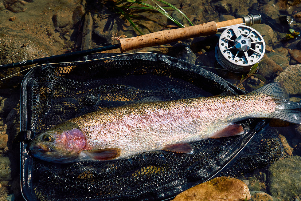 国立公園、利尻島
