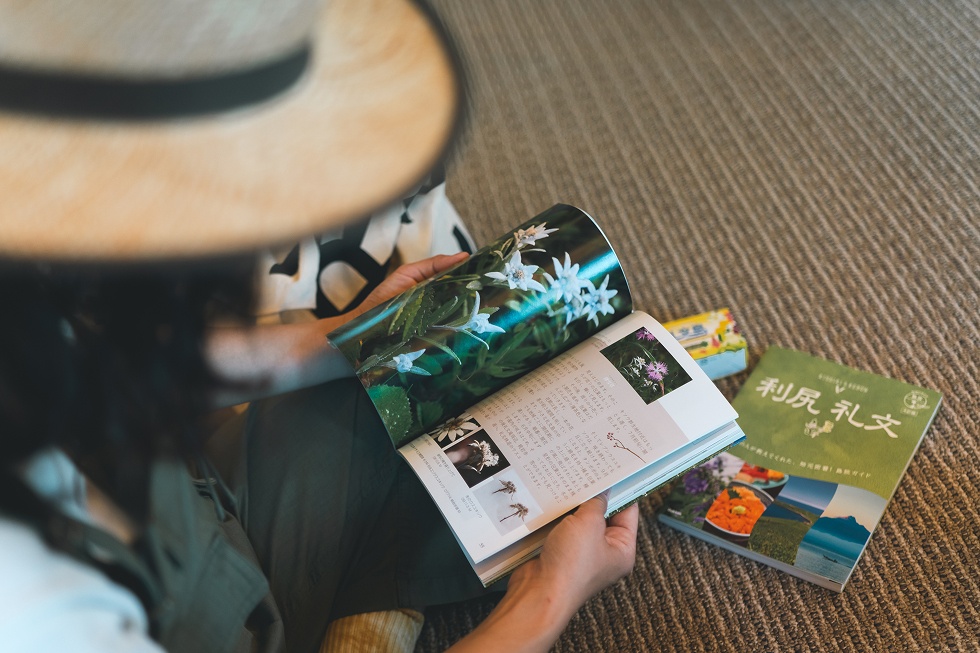 白い綿毛に包まれた気高く可憐な姿