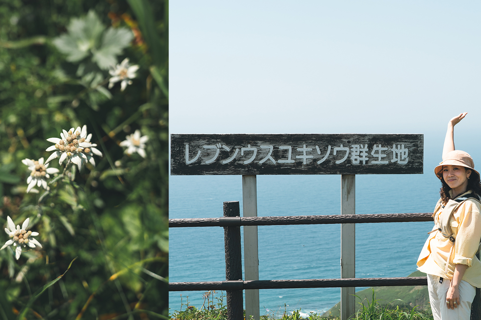 咲き終わる前に見れて本当によかった！