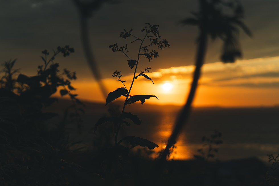 夜20時、ようやく暗くなってきたからテントの中へ