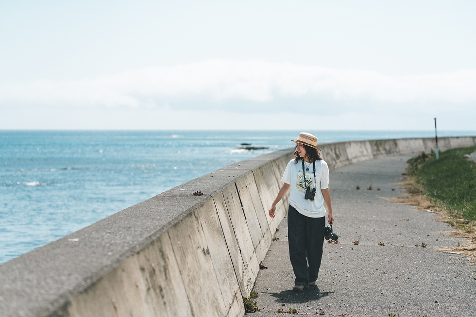 金田ノ岬のほうまで探しに行ってみよう