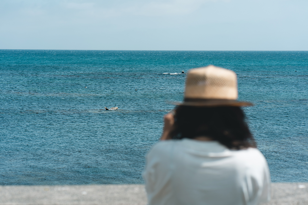 双眼鏡で覗いてみよう