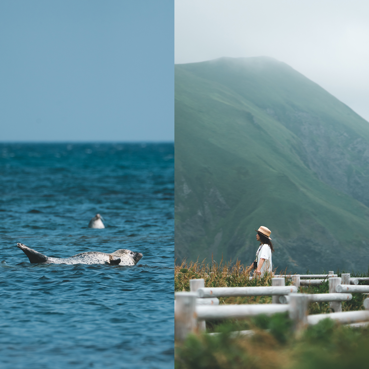 ありのまま、自然と心地よさを。YURIEさんといく日本最北のキャンプ旅【北海道 ・礼文島】後編