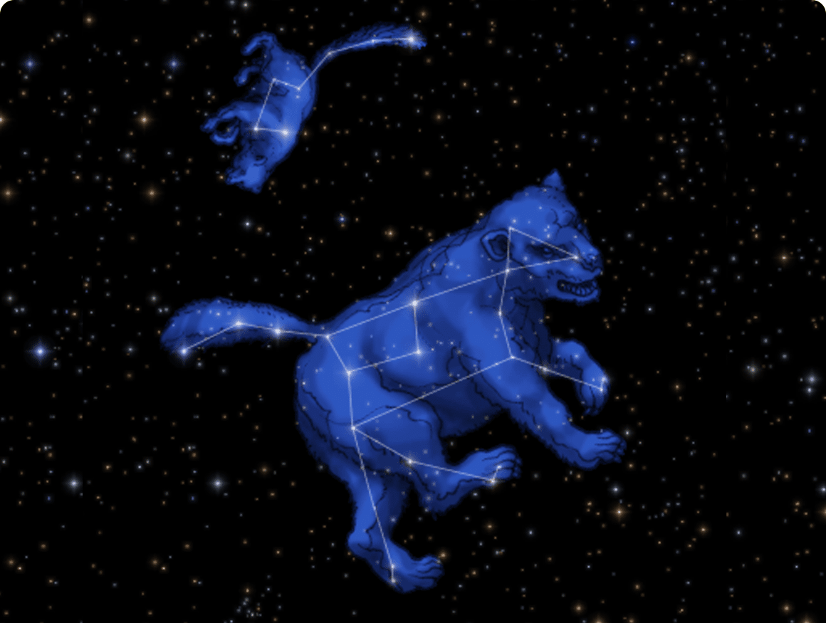 おおぐま座、こぐま座