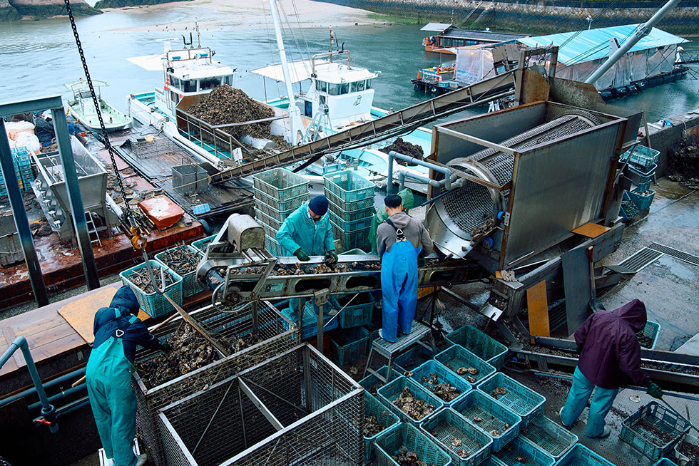 驚くような早さ