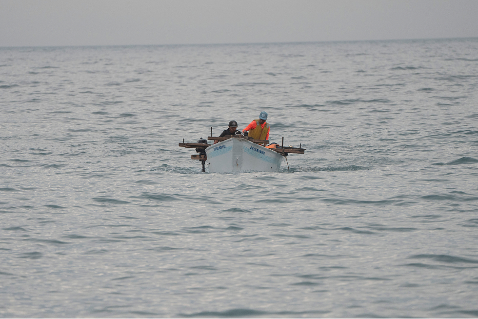 地引網漁の様子