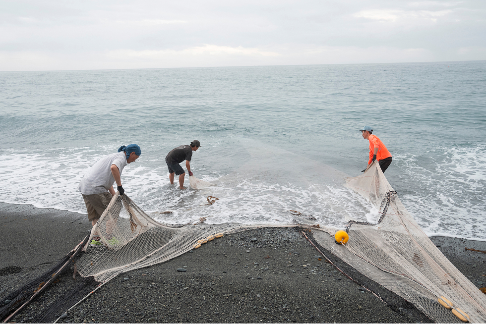 地引網漁の様子