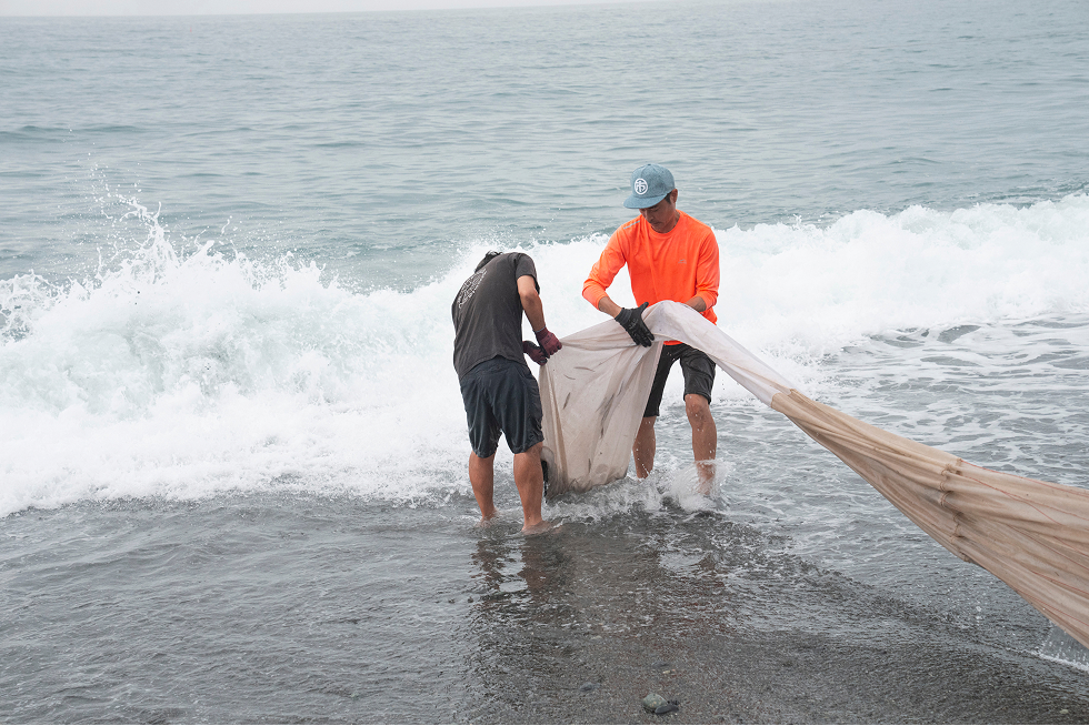 地引網漁の様子